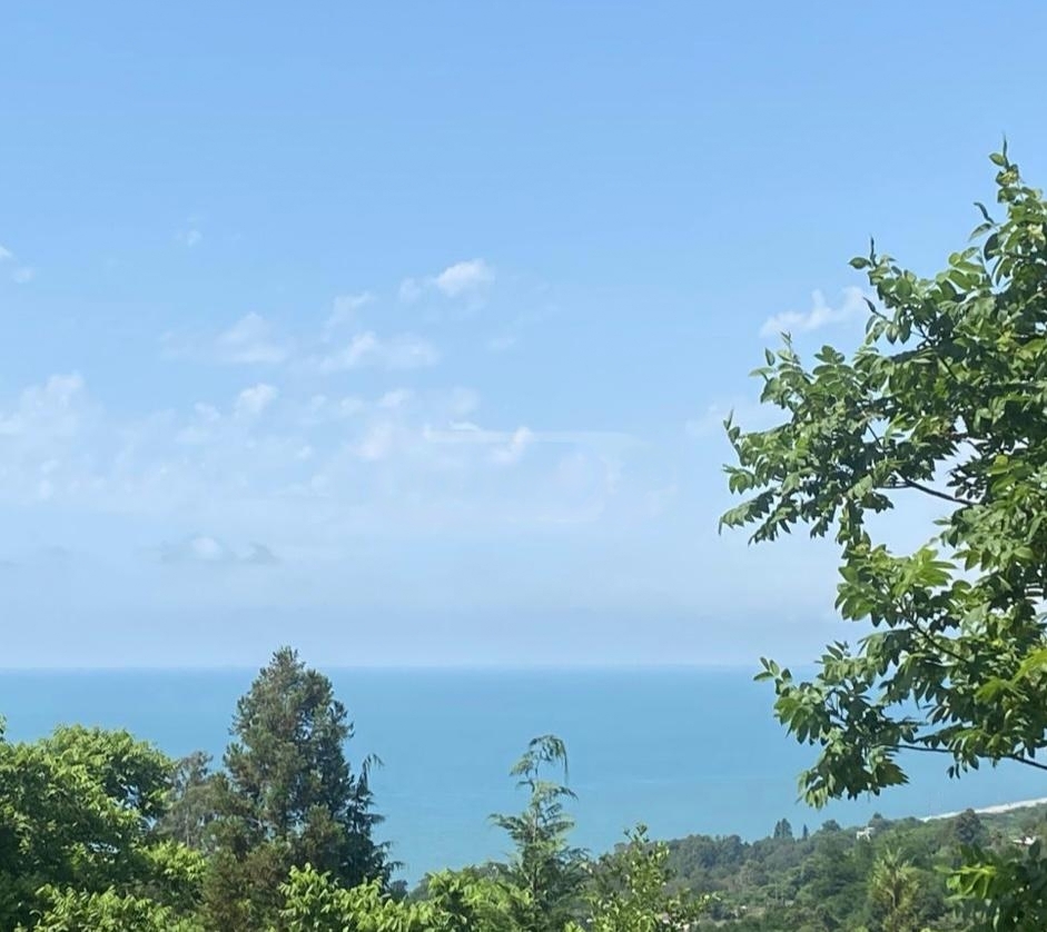 land_for_sale_batumi
