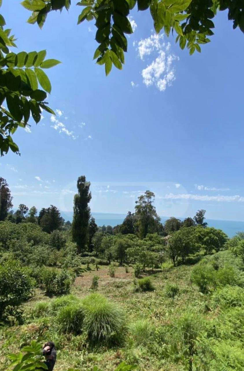 sea_view_land_for_sale_batumi
