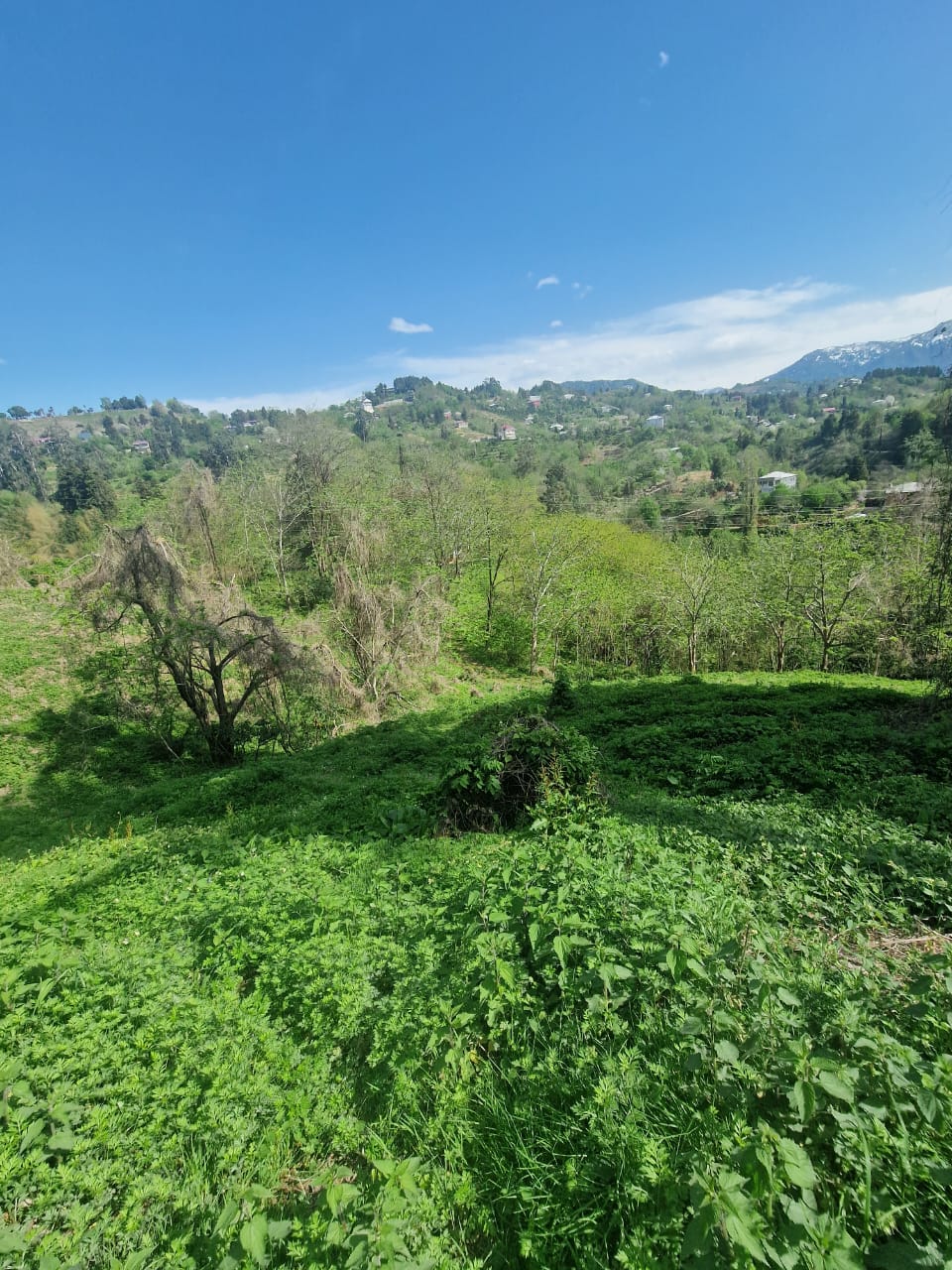 Raw land for sale with good view buknari