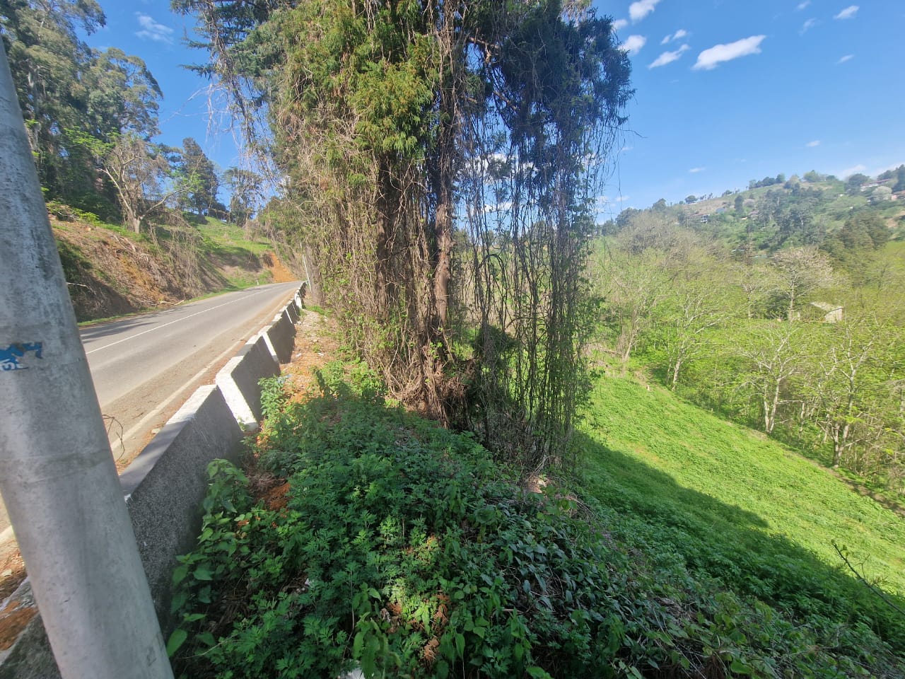 Raw land for sale with great view buknari